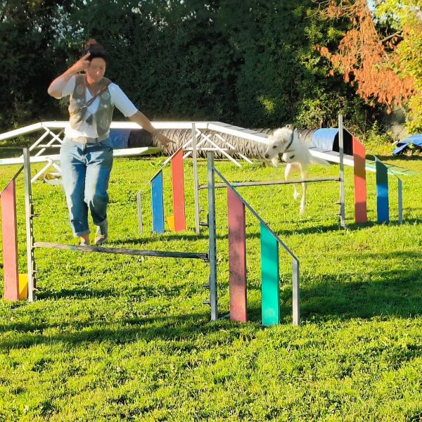 Agility Montag 17 Uhr