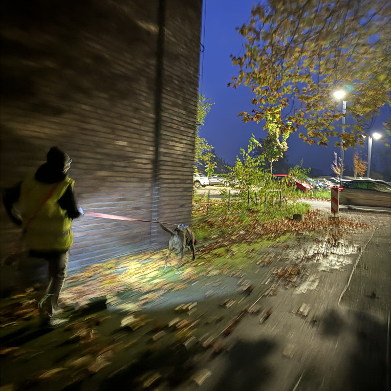 Mantrailing Dorsten und Umgebung