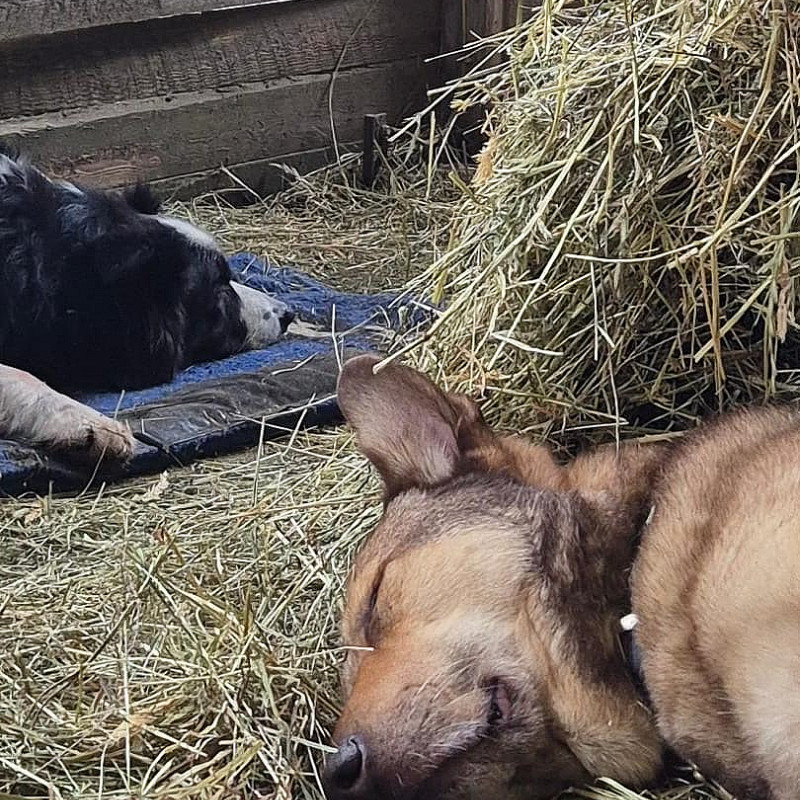 Gemeinsam Ruhe lernen