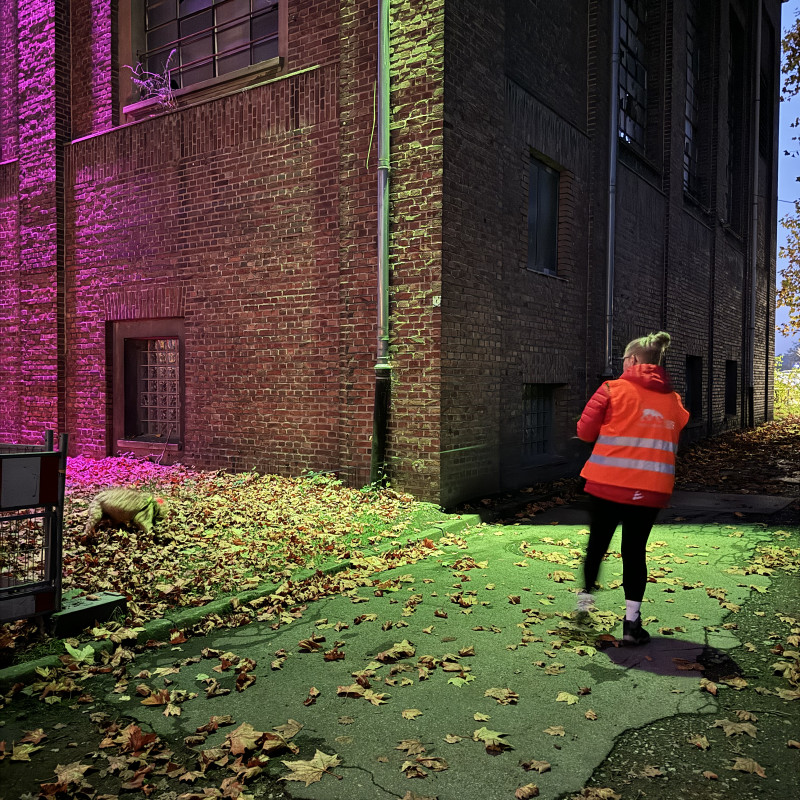 Mantrailing in Dorsten und Umgebung