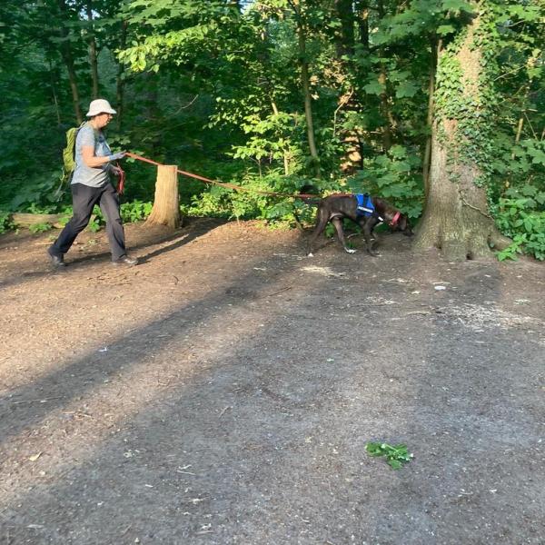 Förderung und Auslastung der „Sturköpfe“