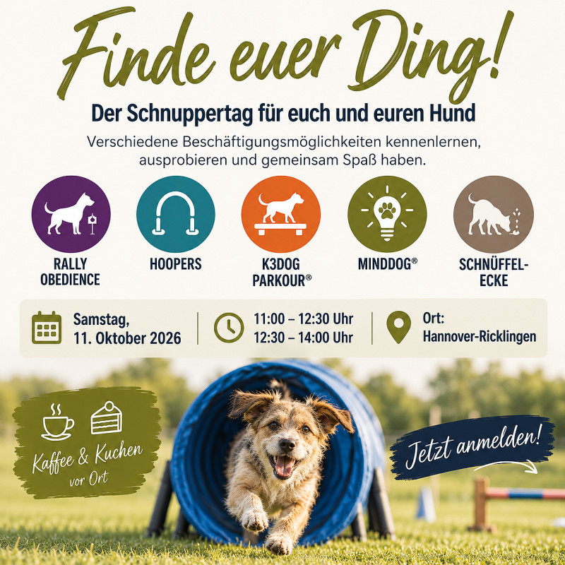 Angebots-Schnuppertag - Der Beschäftigungs-Vormittag zum Ausprobieren