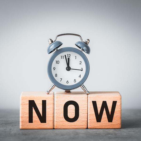 Speed Dating Hundetraining