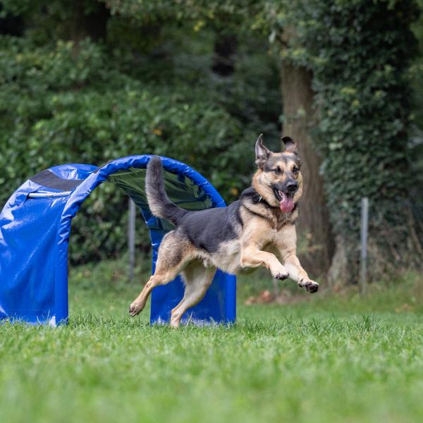 Hoopers - Schnupperkurs