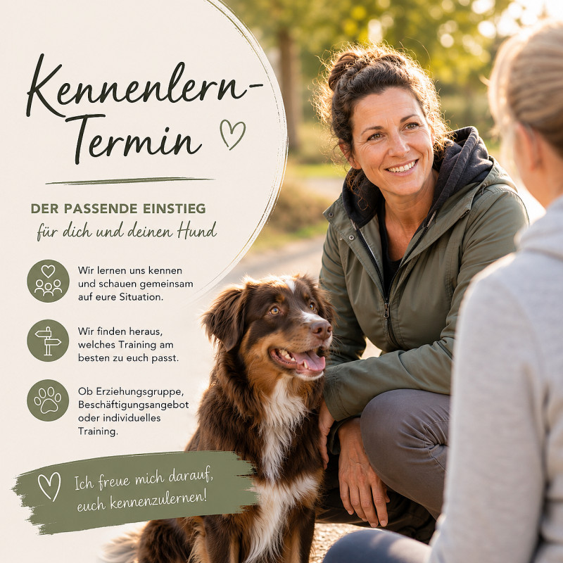 Einzelstunde - Kennenlerntermin