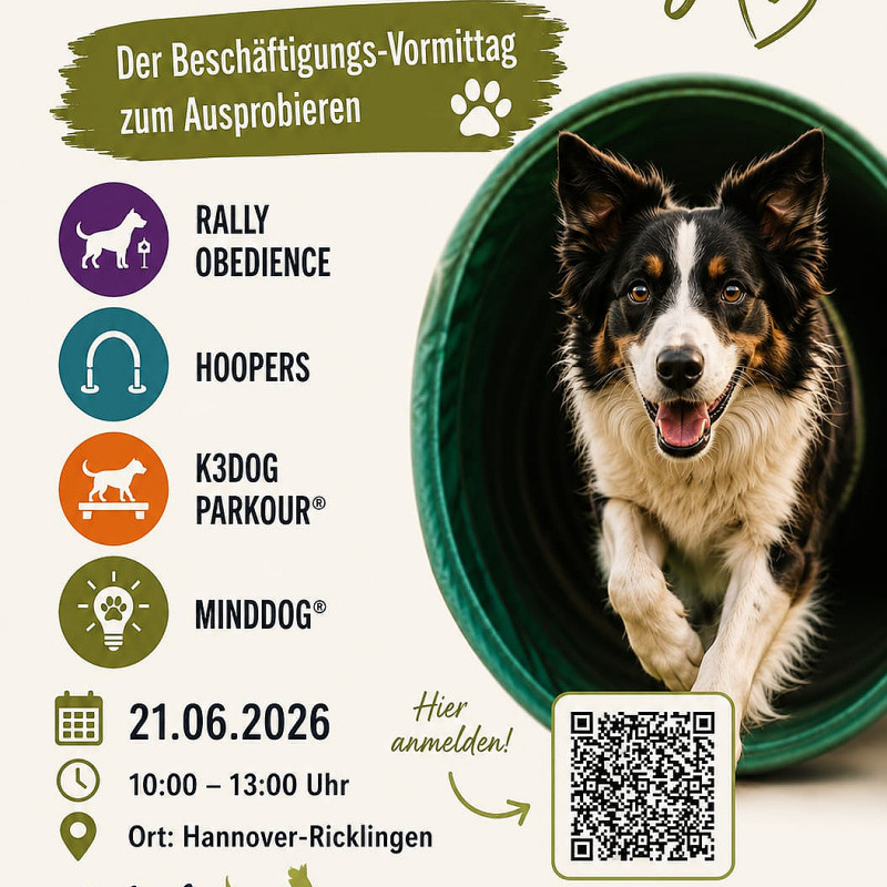 Finde euer Ding - Der Beschäftigungs-Vormittag zum Ausprobieren