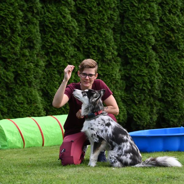 Grunderziehungskurs 2