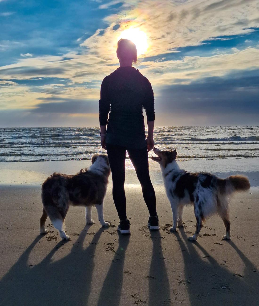 Mobile Hundeschule von Annemarie Halemeier