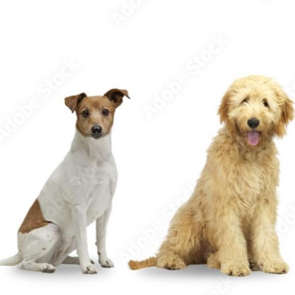 Benimm dich - Greven