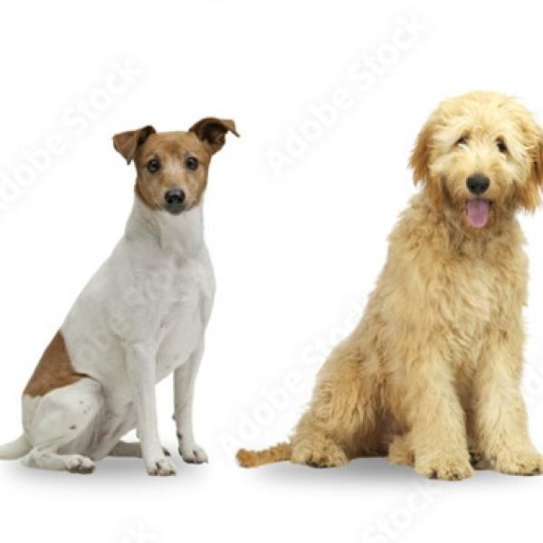 Benimm dich - Albachten