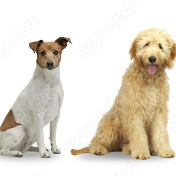 Benimm dich - Greven