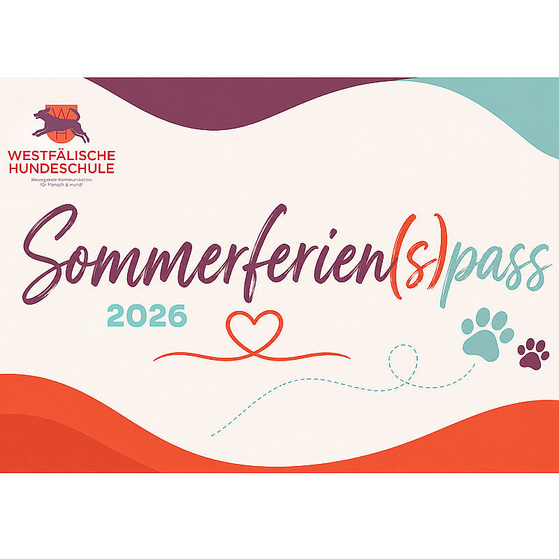 Infos zum Crossdogging in den Sommerferien