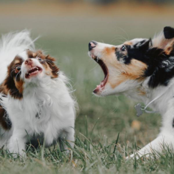 Begegnungstraining - Greven