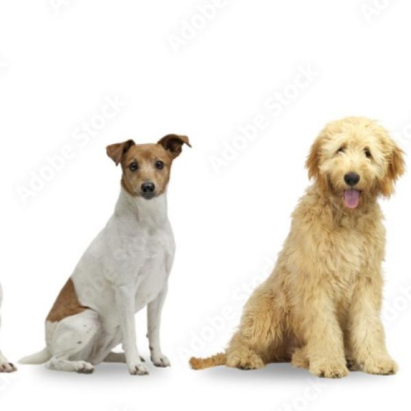 Benimm dich - Greven