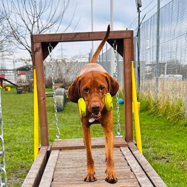 Apportility - Fortgeschrittene