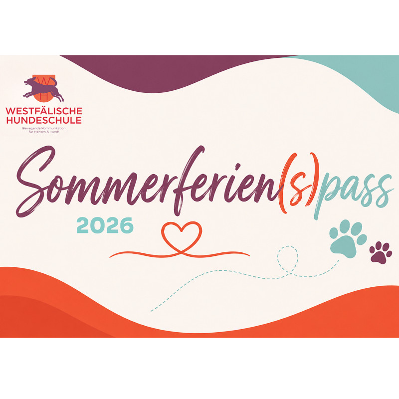 Sommerferien(S)pass 2026