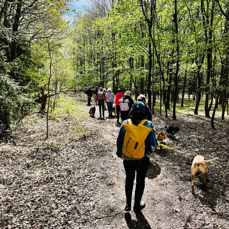 Geführter Social Walk