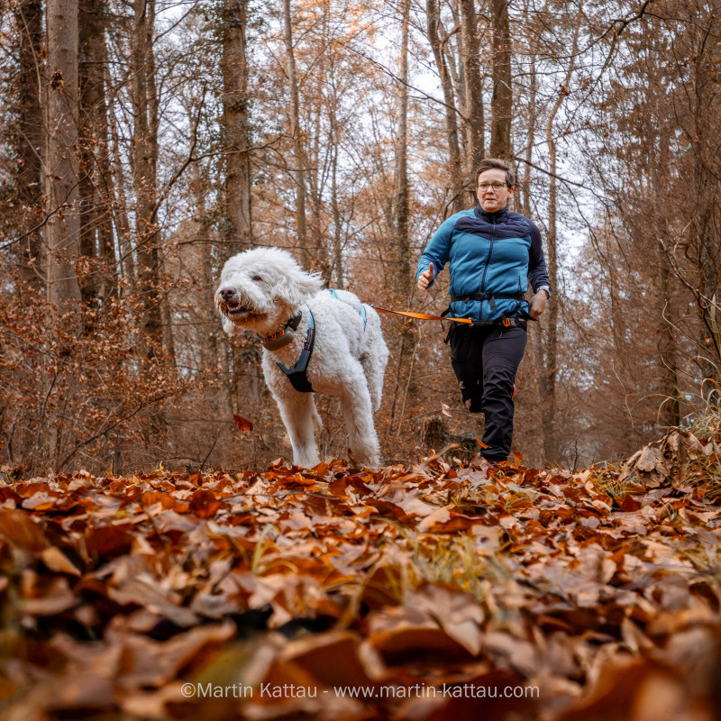 Canicross Einsteigerkurs