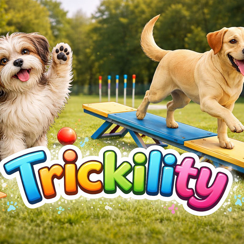 Trickility