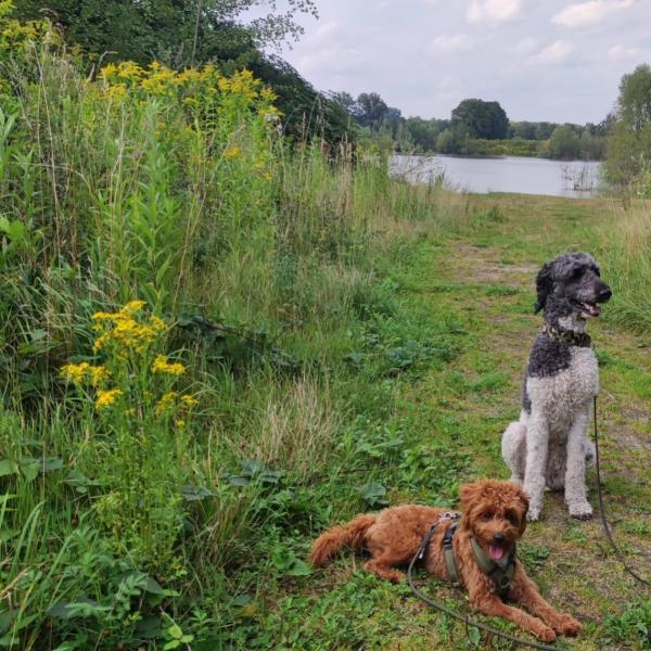 Social Walk Donnerstag 10:15