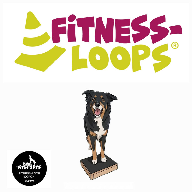 Fitness-Loops