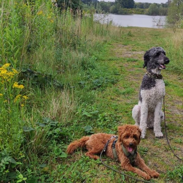 Soziale Interaktion und Körpersprache Montags 17:15 - 18:15