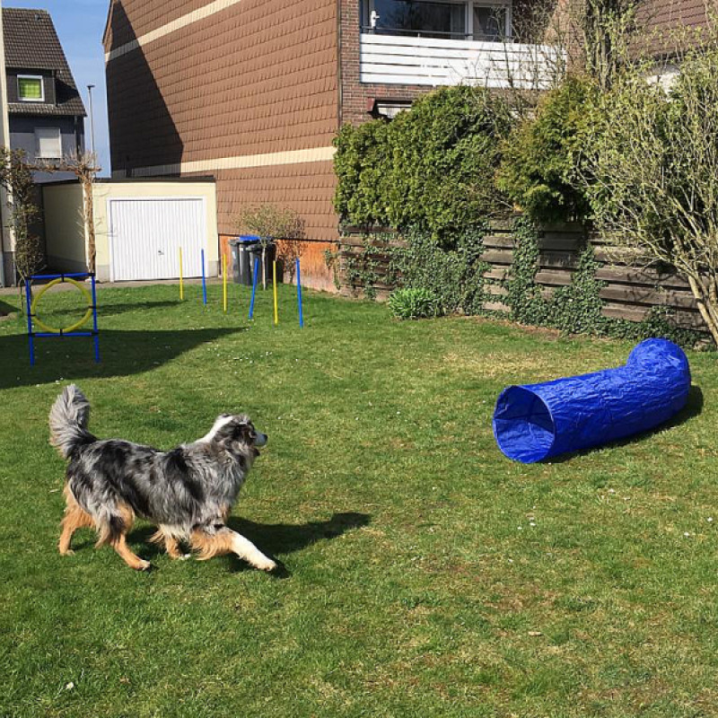 Opfer - Helfer Mantrailing Pro Sonntag 09:15 Uhr