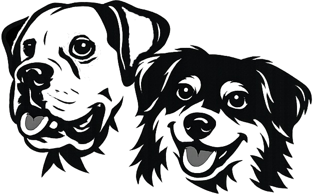 Zugewandt - Hund und Mensch im Blick