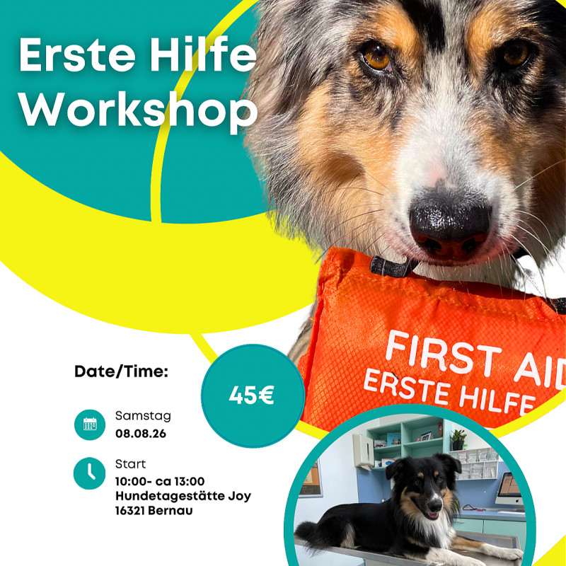 Erste Hilfe Workshop in Bernau